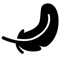 Black silhouette of a feather with curved lines and pointed tip