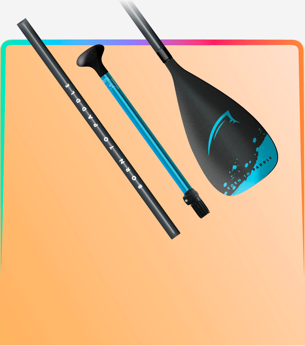 Three-piece paddle with a black shaft, blue handle, and black blade featuring a logo.