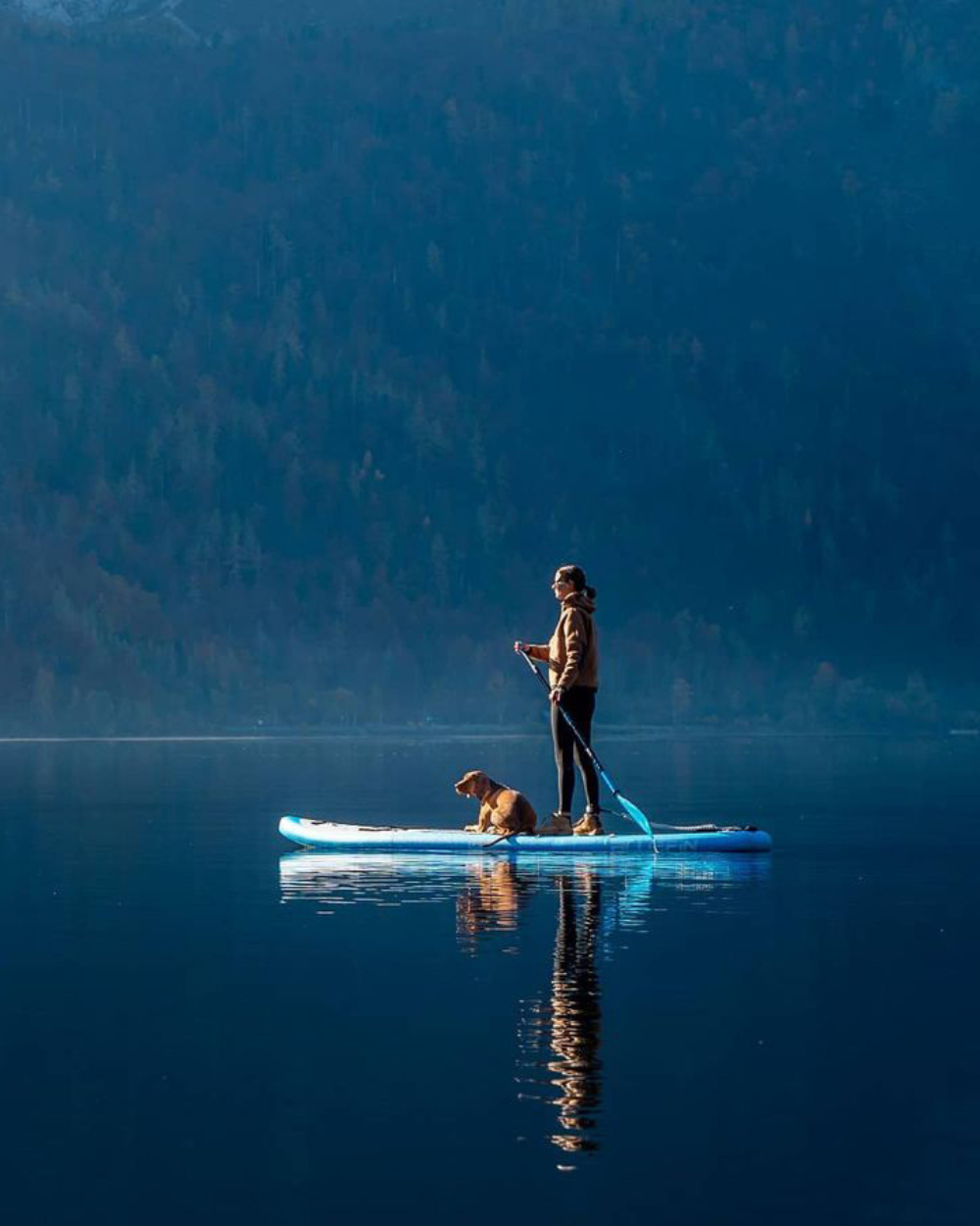 Person paddleboarding on a blue inflatable board with a dog sitting beside them on calm water