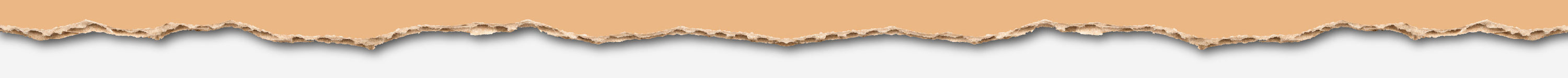 Torn paper edge with a beige top layer and white background, creating a textured border effect.