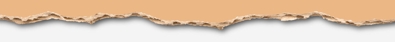 Torn paper edge with a beige top layer and a textured brown underside against a white background