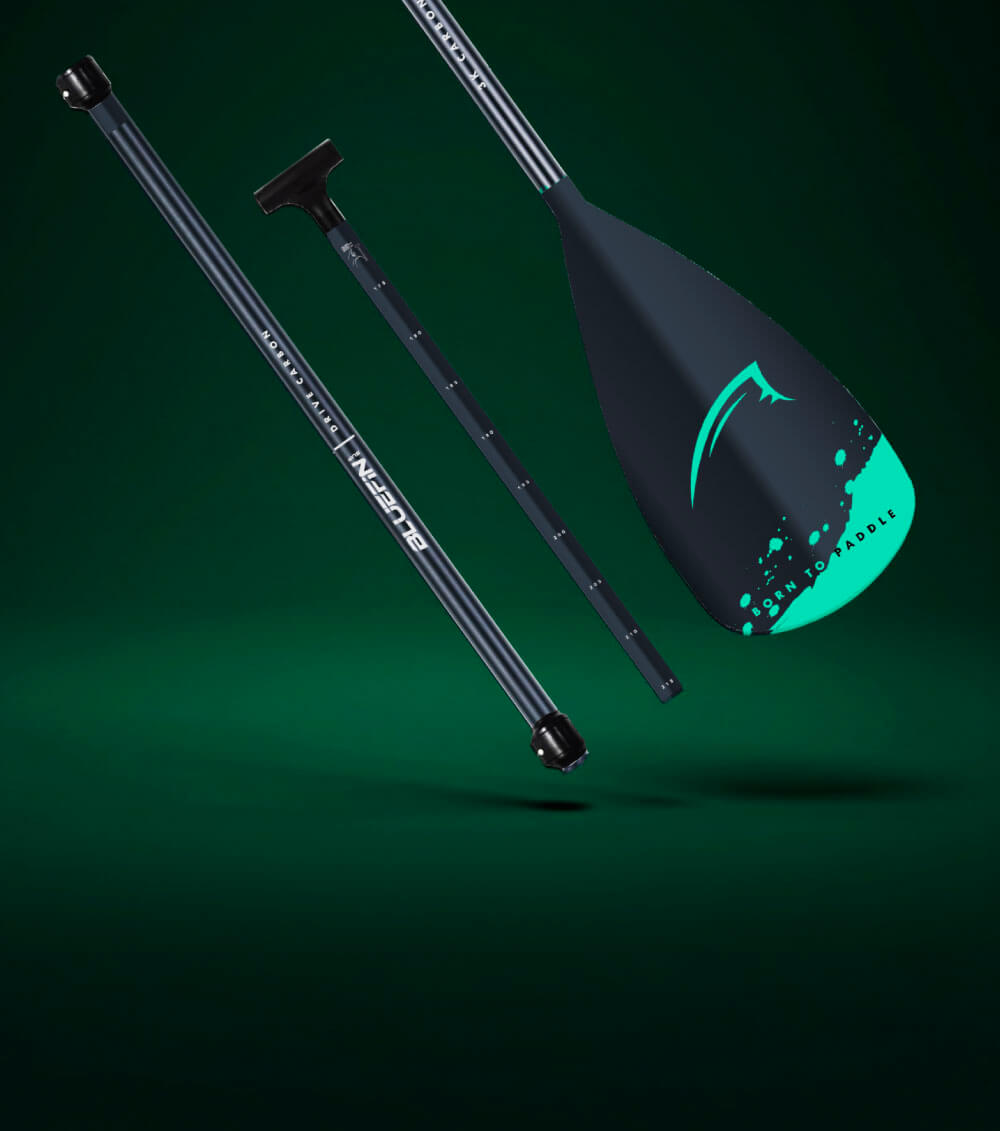 Three-piece paddle with a black shaft, T-grip handle, and teal blade with design.
